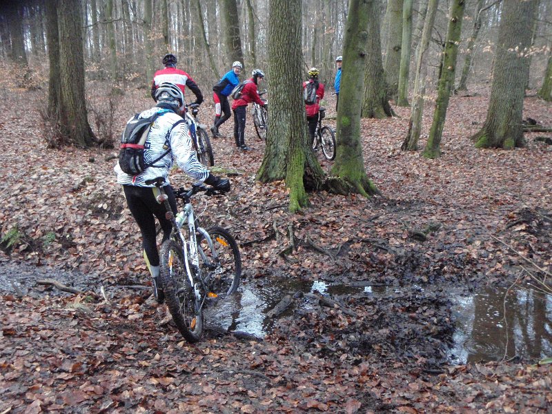 Waldtour 060